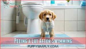 peeing a lot after swimming