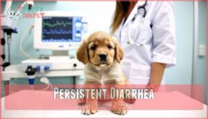 persistent diarrhea
