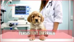 persistent diarrhea persistent diarrhea