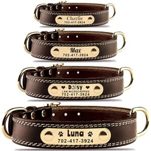 Personalized Dog Collar   Custom B0BNCHMPZQ