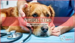 physical exams