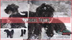 physical traits