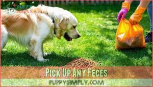 pick up any feces