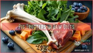 pig trotters in raw diets