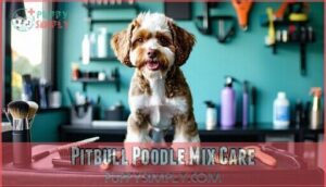 pitbull poodle mix care