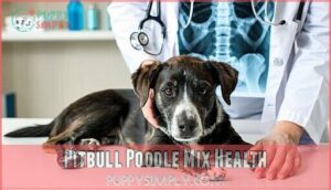pitbull poodle mix health