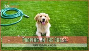 pooping on the grass