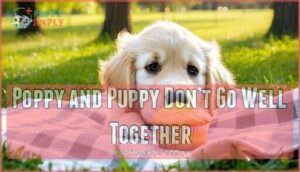 poppy and puppy don’t go well together