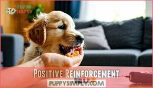 positive reinforcement