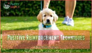 positive reinforcement techniques