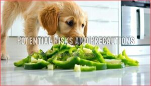 potential risks and precautions