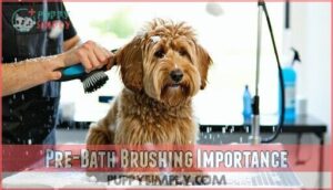pre-bath brushing importance