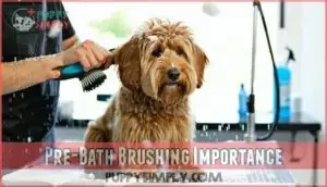 pre-bath brushing importance