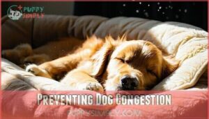 preventing dog congestion