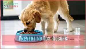 preventing dog hiccups