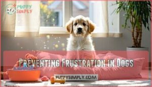 preventing frustration in dogs