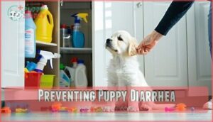 preventing puppy diarrhea