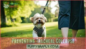 preventing tracheal collapse