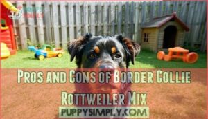 pros and cons of border collie rottweiler mix