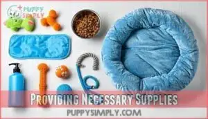 providing necessary supplies