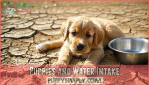 puppies and water intake