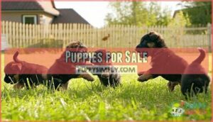 puppies for sale
