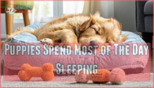 puppies spend most of the day sleeping