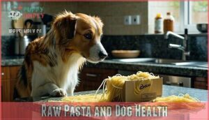 raw pasta and dog health
