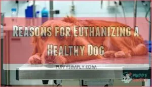 reasons for euthanizing a healthy dog