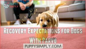 recovery expectations for dogs with parvo