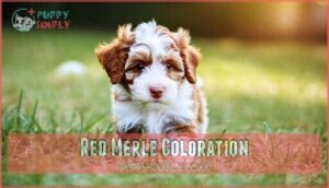 red merle coloration
