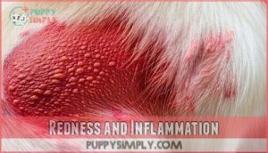 redness and inflammation