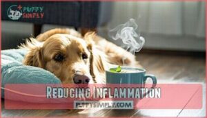 reducing inflammation