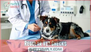 regular vet checks