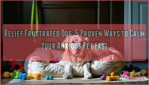 relief frustrated dog