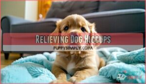 relieving dog hiccups