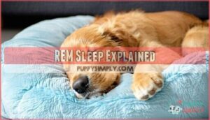 rem sleep explained