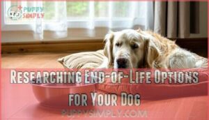 researching end-of-life options for your dog