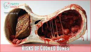 risks of cooked bones