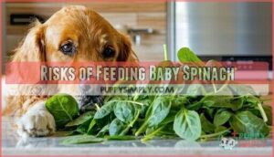 risks of feeding baby spinach