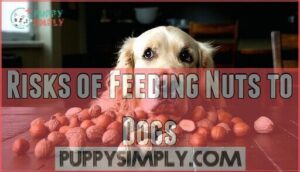risks of feeding nuts to dogs