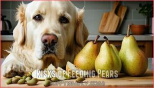risks of feeding pears