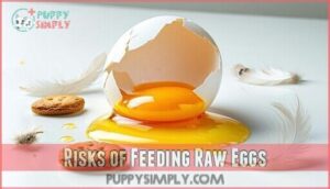 risks of feeding raw eggs