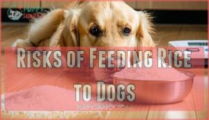 risks of feeding rice to dogs