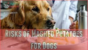 risks of mashed potatoes for dogs