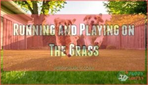 running and playing on the grass