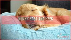 runny nose and eyes