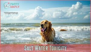 salt water toxicity