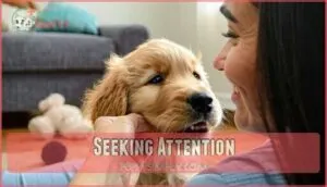 seeking attention seeking attention