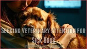seeking veterinary attention for sick dogs